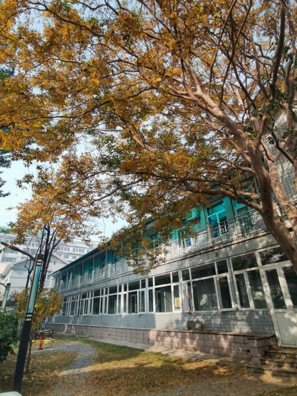 015.jpg 015.jpg