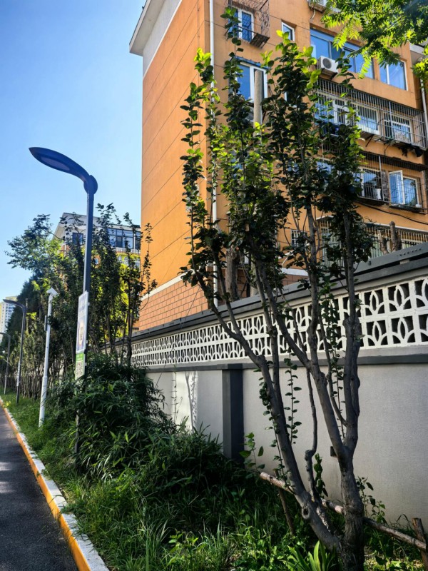 036.jpg 036.jpg