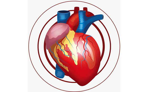 心脏重症的综合管理与治疗